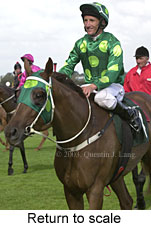 Return to scale (16766 bytes)