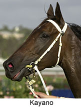 Kayano (16517 bytes)