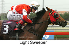 Light Sweeper (13582 bytes)