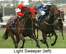 Light Sweeper (16443 bytes)