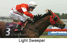 Light Sweeper (12529 bytes)