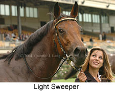 Light Sweeper (14378 bytes)