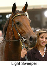 Light Sweeper (12423 bytes)