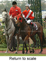 Return to scale (16467 bytes)