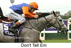 Don't Tell Em (14768 bytes)