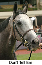 Don't Tell Em (11249 bytes)