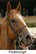 Foxborough (11320 bytes)