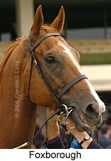 Foxborough (12231 bytes)