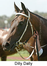 Dilly Dally (11791 bytes)