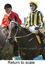 Return to scale (15157 bytes)