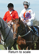 Return to scale (15157 bytes)