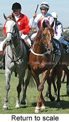 Return to scale (15157 bytes)