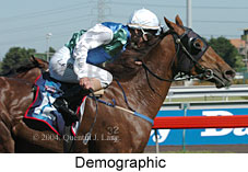 Demographic (15405 bytes)