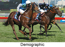 Demographic (18459 bytes)