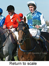 Return to scale (15946 bytes)