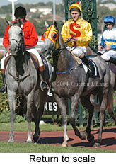 Return to scale (19500 bytes)