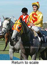 Return to scale (16107 bytes)