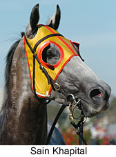 Sain Khapital (13844 bytes)