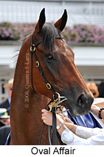 Oval Affair (14872 bytes)