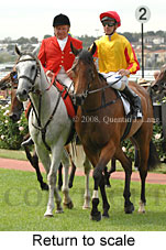 Return to scale (15361 bytes)