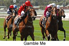 Gamble Me (14872 bytes)