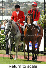 Return to scale (15361 bytes)