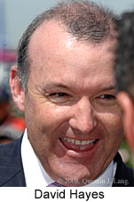 David Hayes (11039 bytes)