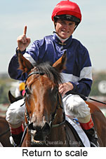 Return to scale (15361 bytes)