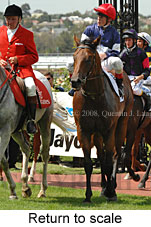 Return to scale (15361 bytes)