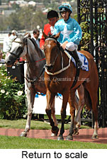 Return to scale (15361 bytes)