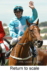 Return to scale (15361 bytes)