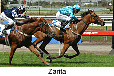 Zarita (14872 bytes)