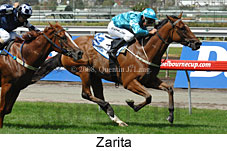 Zarita (14872 bytes)