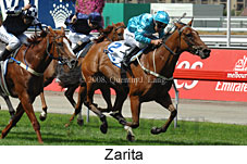 Zarita (14872 bytes)