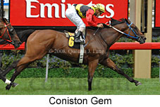 Coniston Gem (14872 bytes)