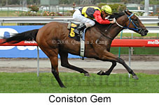 Coniston Gem (14872 bytes)