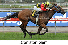 Coniston Gem (14872 bytes)