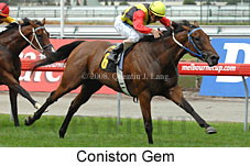 Coniston Gem (14872 bytes)