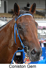 Coniston Gem (14872 bytes)