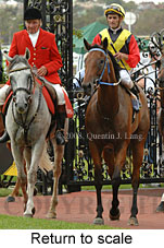 Return to scale (15361 bytes)