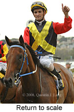 Return to scale (15361 bytes)