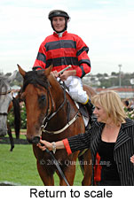 Return to scale (15361 bytes)