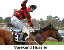 Weekend Hussler (14872 bytes)