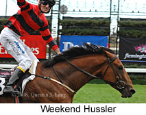 Weekend Hussler (14872 bytes)