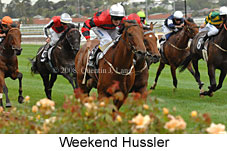 Weekend Hussler (14872 bytes)