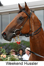 Weekend Hussler (14872 bytes)