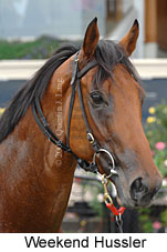 Weekend Hussler (14872 bytes)