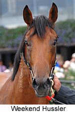 Weekend Hussler (14872 bytes)