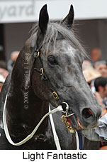 Light Fantastic (14872 bytes)