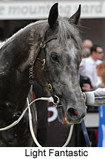 Light Fantastic (14872 bytes)